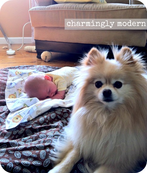 baby tummy time