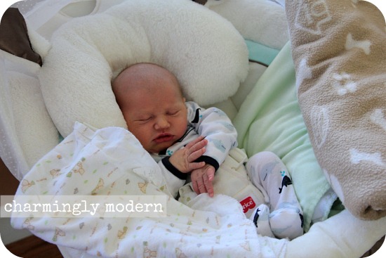 baby in little lamb swing