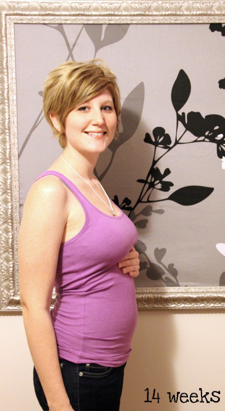 pregnancy bump 14 weeks