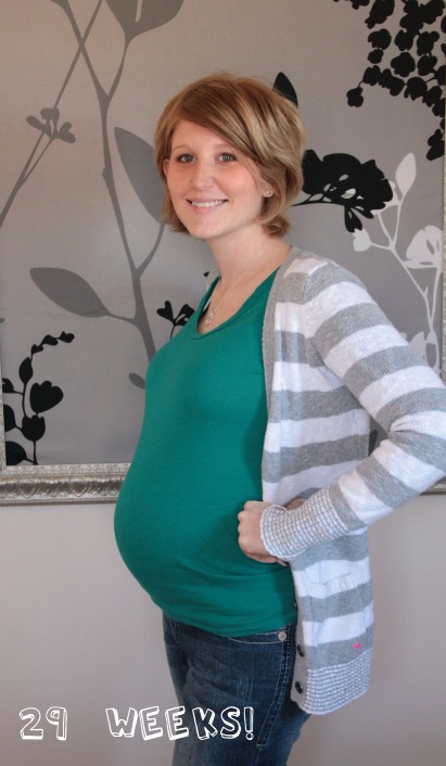 29 week pregnancy bump