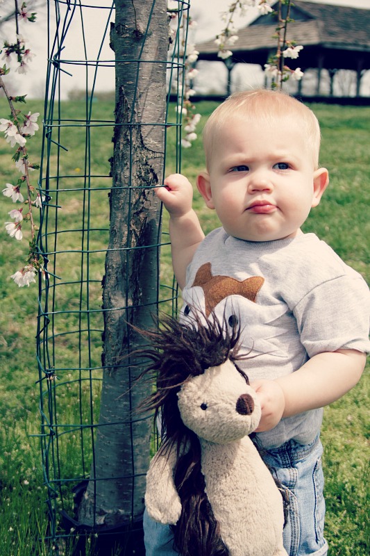 Ezra at the park