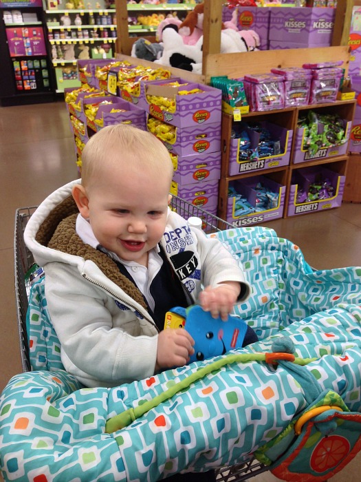 Ezra at the grocery store
