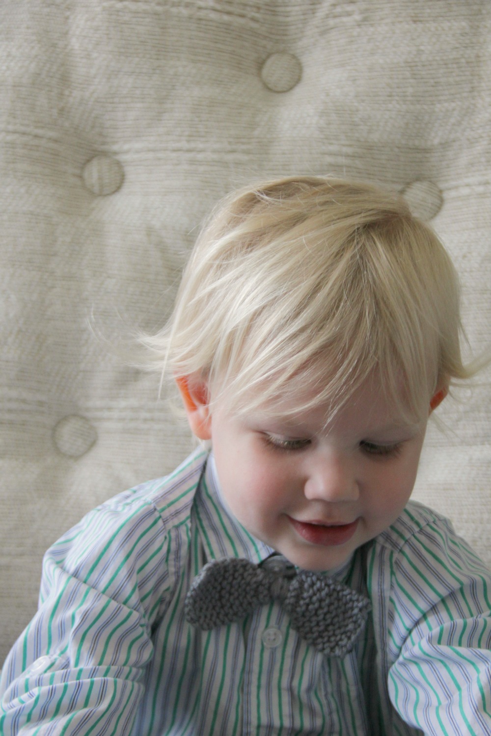 Charmingly Modern grey bow tie