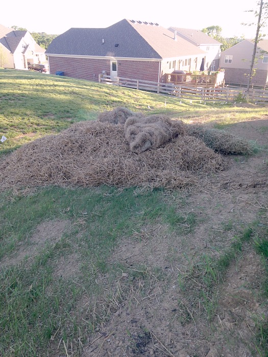 pile of raked up hay