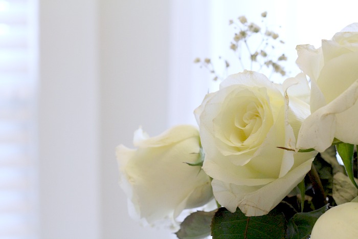 white roses