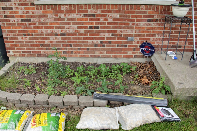 flower bed filled with weeds