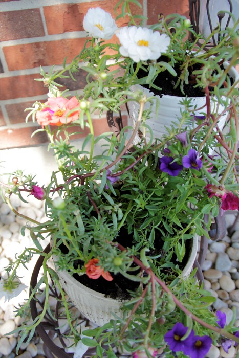 close up flowers