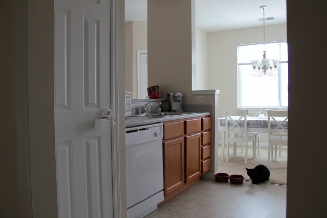 apartment kitchen