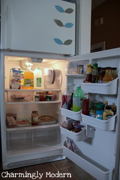 inside of fridge