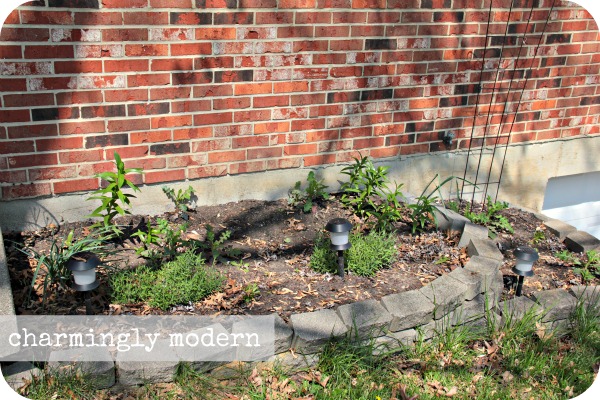 front yard garden