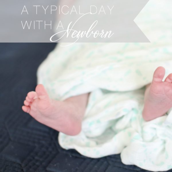 a typical day with a newborn
